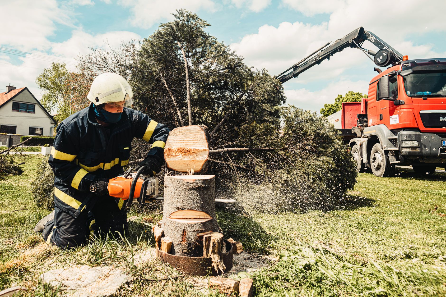 Tree Trimming